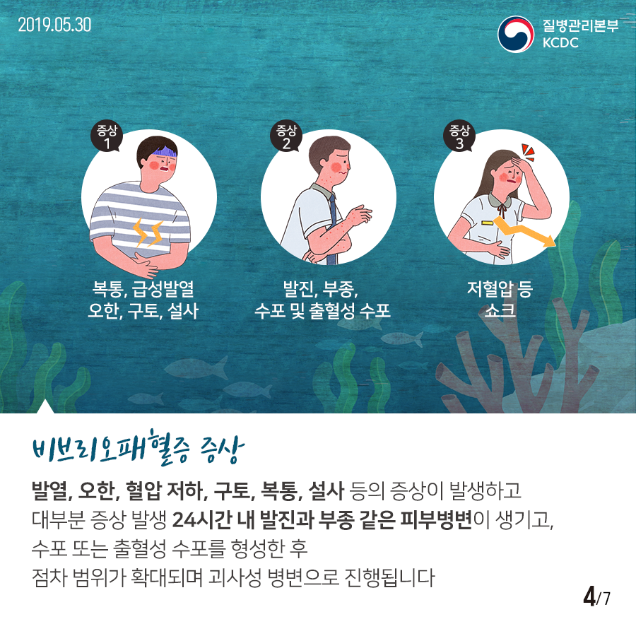 증상 1 : 복통, 급성발열, 오한, 구토, 설사 증상, 증상 2 : 발진, 부종, 수포 및 출혈성 수포 증상,  증상 3: 저혈압 등 쇼크.
비브리오패혈증 증상 : 발열, 오한, 혈압 저하, 구토, 복통, 설사 등의 증상이 발생하고 대부분 증상 발생 24시간 내 발진과 부종 같은 피부병 변이 생기고, 수포 또는 출혈성 수포를 형성한 후 점차 범위가 확대되며 괴사성 병변으로 진행됩니다.