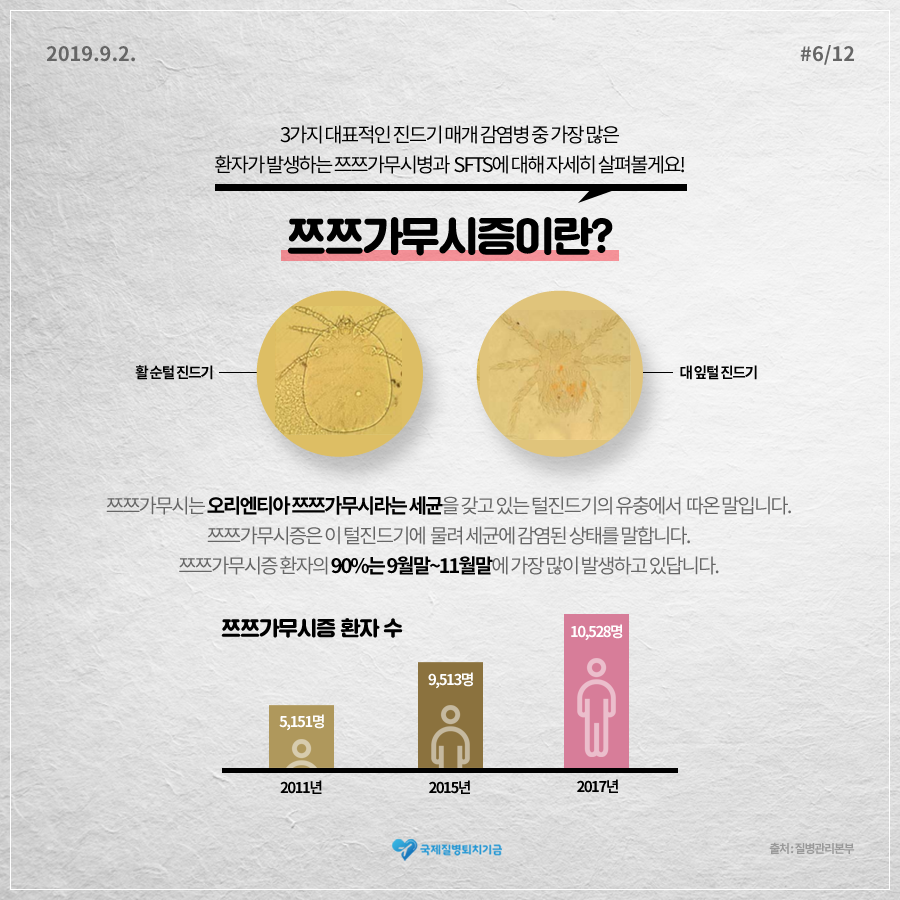 3가지 대표적인 진드기 매개 감염병중 가장 많은 환자가 발생하는 쯔쯔가무시병과 SFTS에 대해 자세히 살펴볼게요! 쯔쯔가무시증이란? /
쯔쯔가무시는 오리엔티아 쯔쯔가무시라는 세균을 갖고 있는 털진드기의 유충에서 따온 말입니다. 쯔쯔가무시증은 이 털진드기에 물려 세균에 감염된 상태를 말합니다. 쯔쯔가무시증 환자의 90%는  9월말 ~11월말에
가장 많이 발생하고 있답니다.