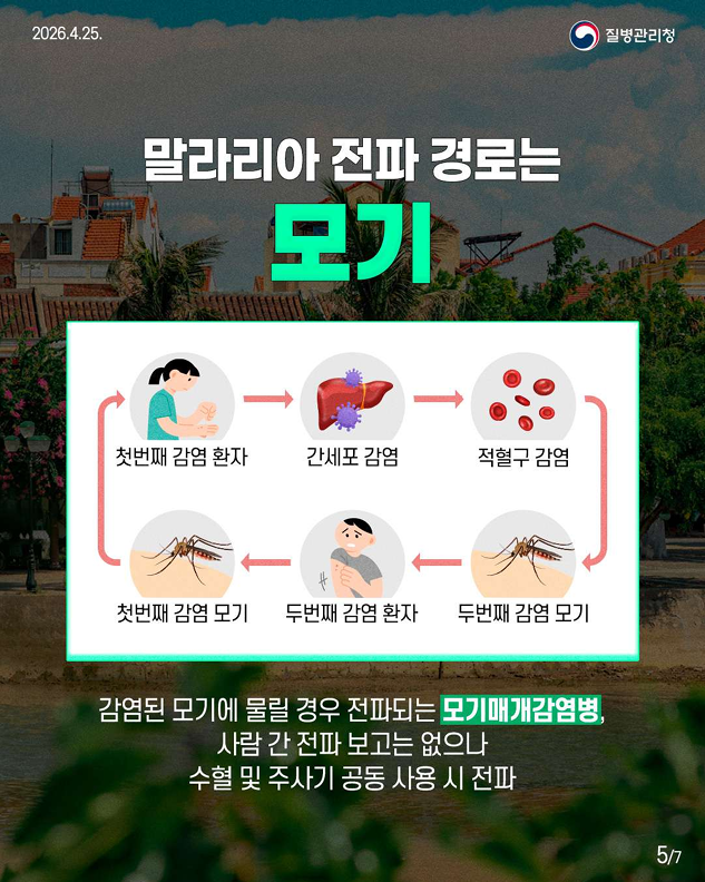 따뜻한 휴향지하면 떠올리는 곳!! 동남아 여행 가기 전 저장 필수~~