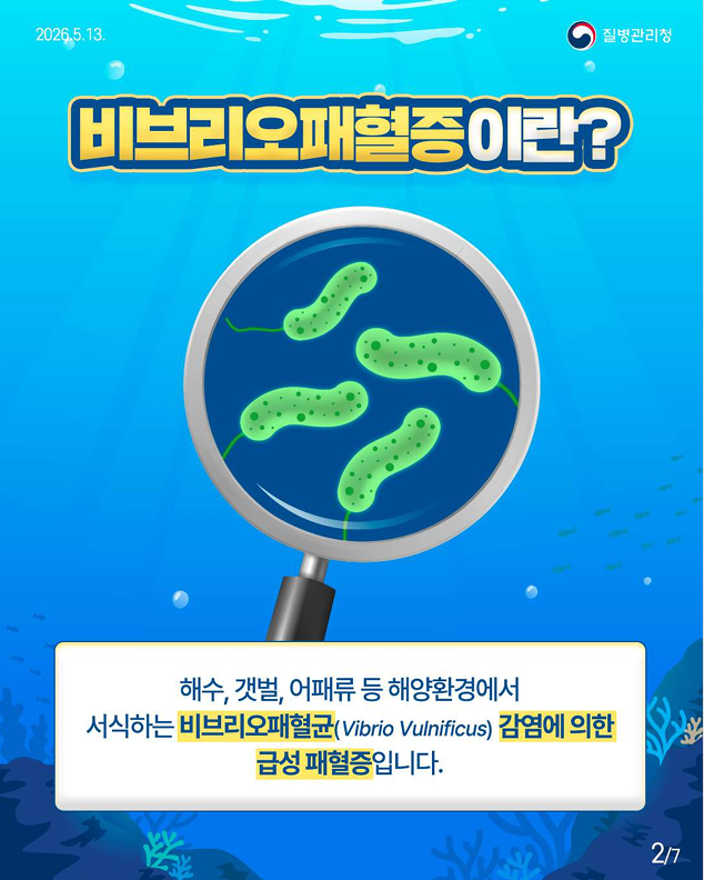 비브리오패혈증 함께 예방해요!!
