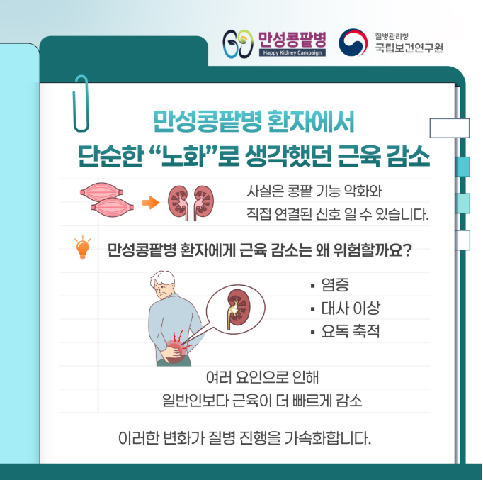 근육이 줄면 콩팥도 위험해집니다~~~