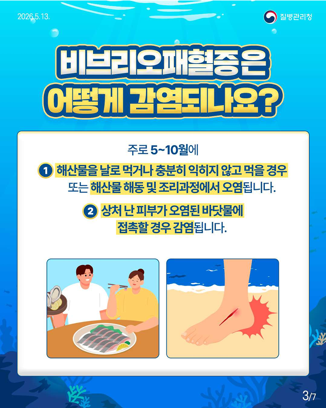 비브리오패혈증 함께 예방해요!!