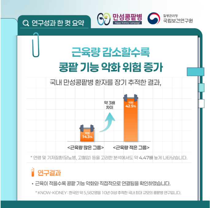 근육이 줄면 콩팥도 위험해집니다~~~
