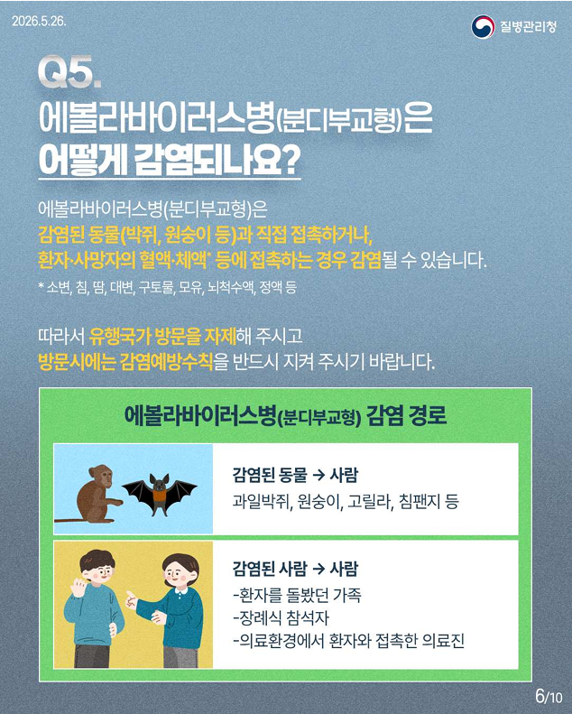 에볼라바이러스병(분디부교형) 핵심 궁금증 한 번에 이해하기!!