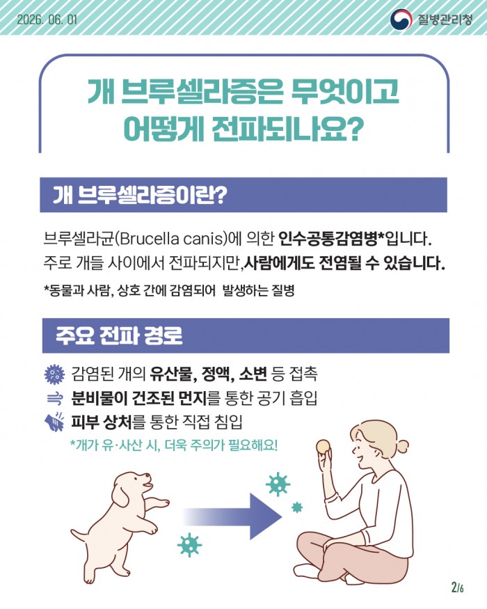 개 브루셀라증 안전 예방 수칙