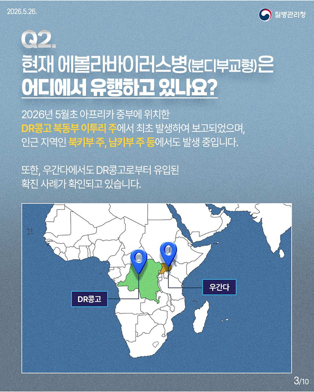 에볼라바이러스병(분디부교형) 핵심 궁금증 한 번에 이해하기!!