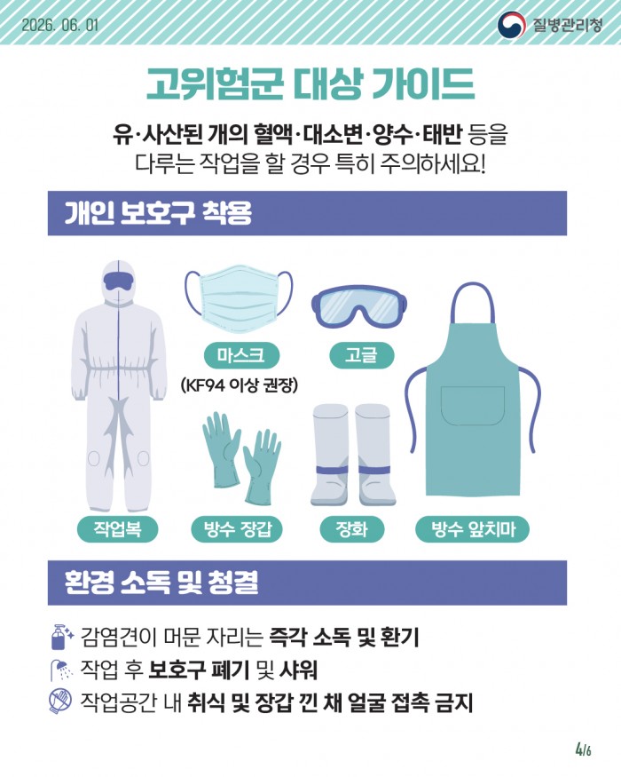 개 브루셀라증 안전 예방 수칙