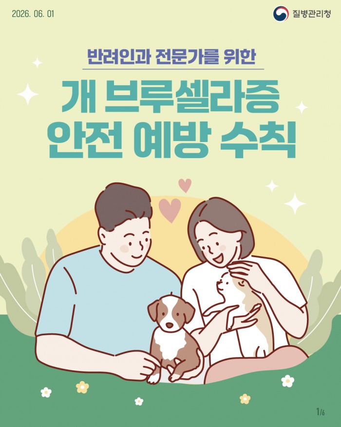 개 브루셀라증 안전 예방 수칙