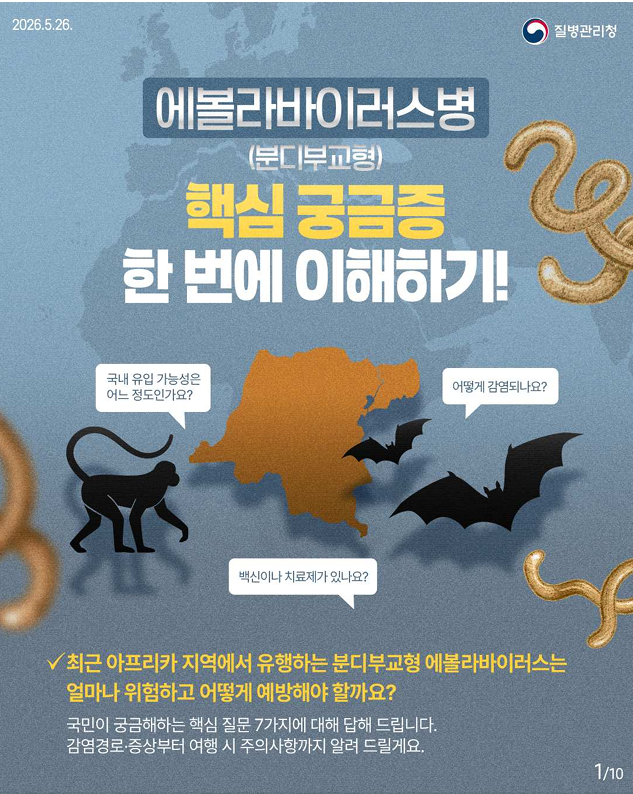 에볼라바이러스병(분디부교형) 핵심 궁금증 한 번에 이해하기!!