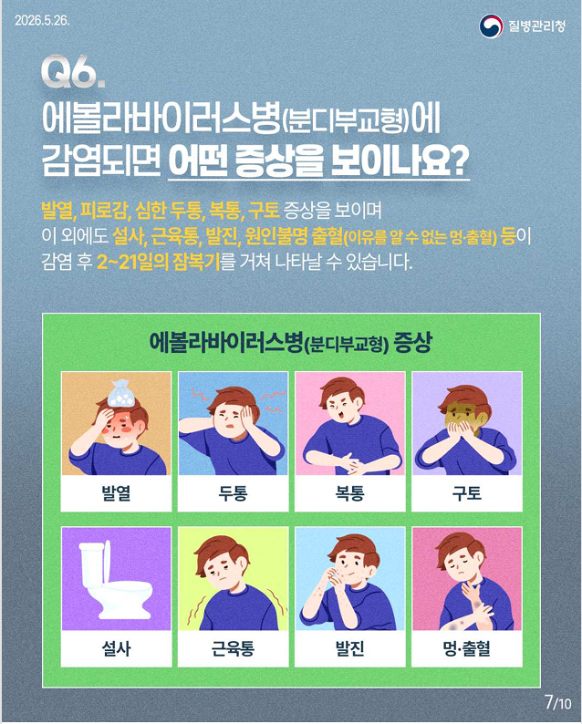 에볼라바이러스병(분디부교형) 핵심 궁금증 한 번에 이해하기!!