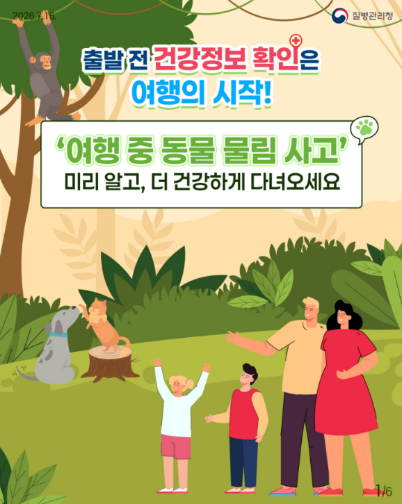 여행 중 마주친 원숭이나 길고양이 조심!! 동물 물림 사고 예방법