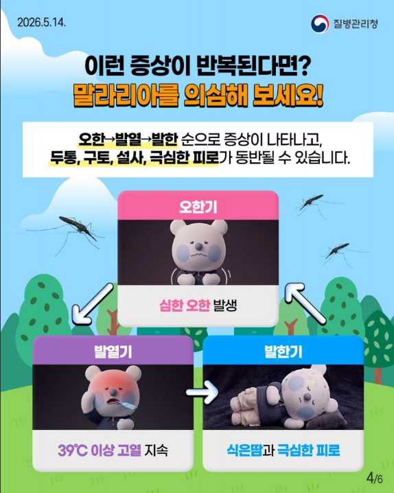 모기 물린 뒤 열이 난다면?? 말라리아일 수 있어요!!