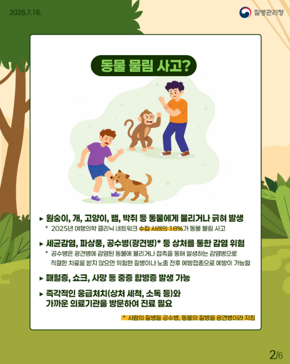 여행 중 마주친 원숭이나 길고양이 조심!! 동물 물림 사고 예방법