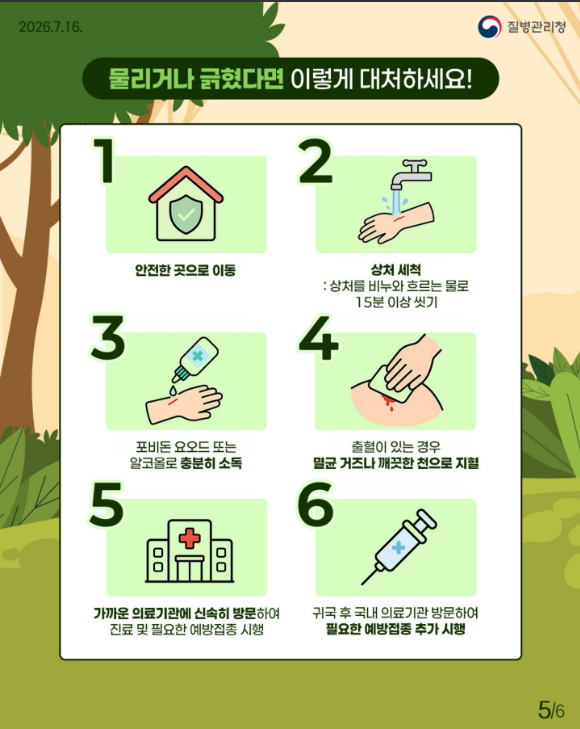 여행 중 마주친 원숭이나 길고양이 조심!! 동물 물림 사고 예방법