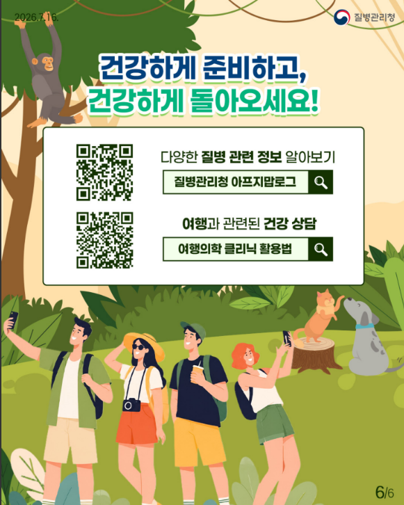 여행 중 마주친 원숭이나 길고양이 조심!! 동물 물림 사고 예방법