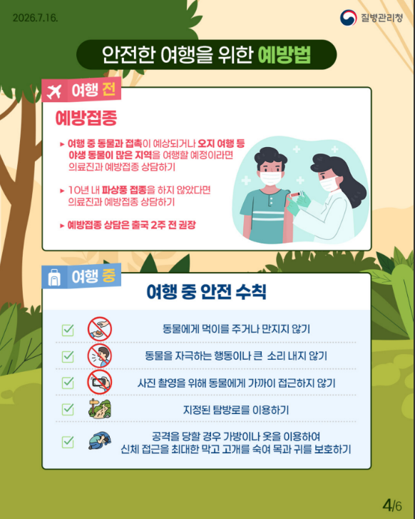 여행 중 마주친 원숭이나 길고양이 조심!! 동물 물림 사고 예방법