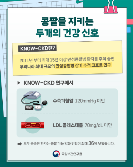 콩팥 건강 리포트 2026-1(꼭 기억해야 할 콩팥 건강 수치)
