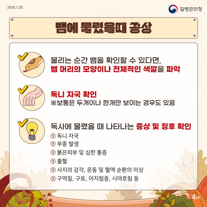 여름부터 가을까지 뱀물림 주의!!