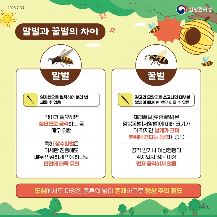 벌쏘임 예방법