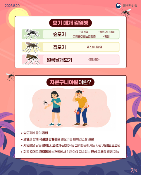 모기는 밤에만? 낮에도 위험한 모기매개 감염병 예방법