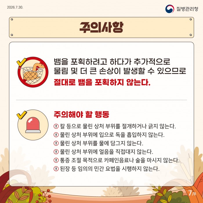 여름부터 가을까지 뱀물림 주의!!