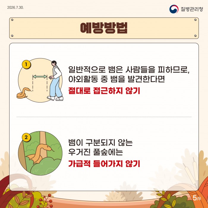 여름부터 가을까지 뱀물림 주의!!