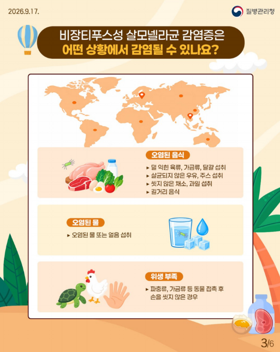 선진국도 방심 금물! 살모넬라균 감염증 예방법