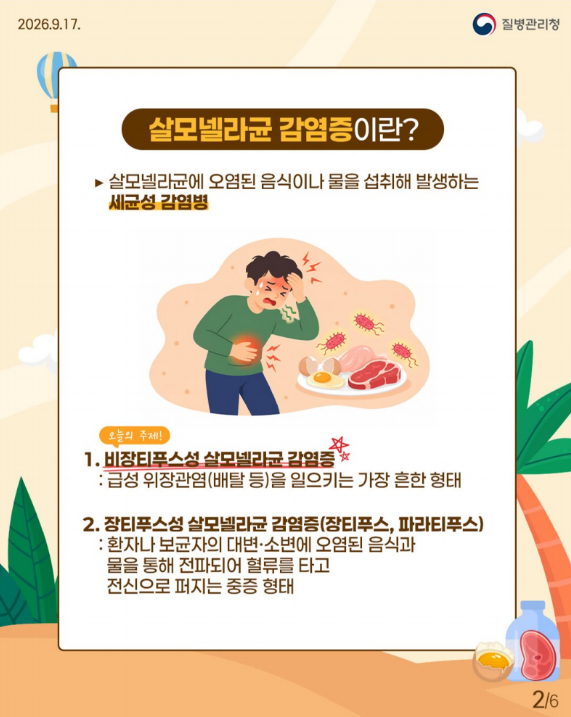 선진국도 방심 금물! 살모넬라균 감염증 예방법
