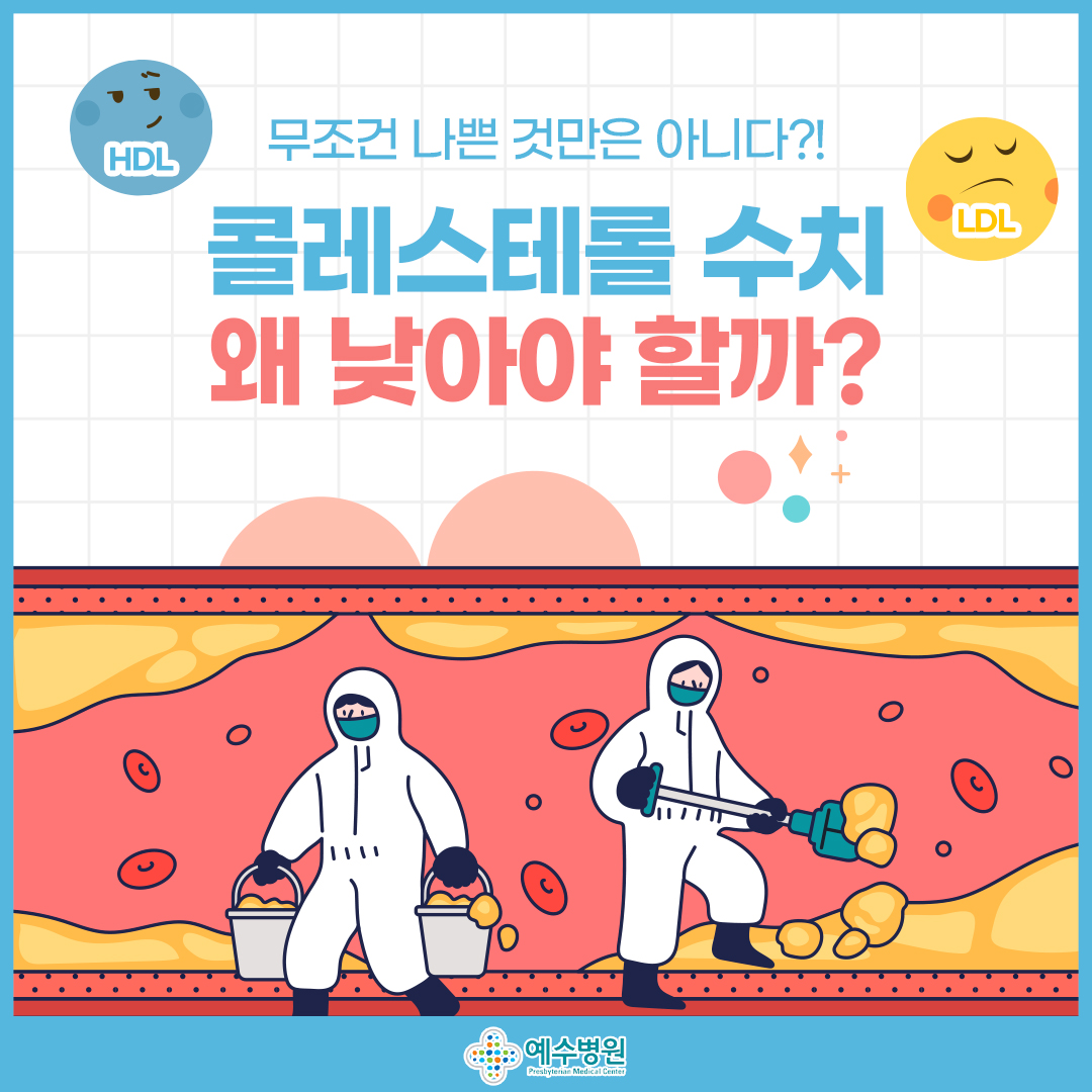 HDL LDL
무조건 나쁜 것만은 아니다?!
콜레스테롤 수치 왜 낮아야 할까?