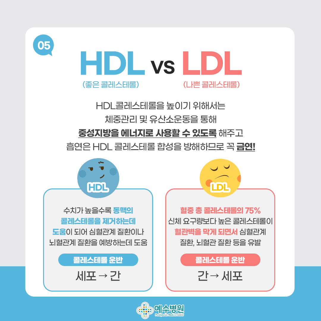 05
HDL(좋은 콜레스테롤) vs LDL(나쁜 콜레스테롤)

HDL콜레스테롤을 높이기 위해서는
체중관리 및 유산소운동을 통해
중성지방을 에너지로 사용할 수 있도록 해주고
흡연은 HDL 콜레스테롤 합성을 방해하므로 꼭 금연!
HDL
수치가 높을수록 동맥의
콜레스테롤을 제거하는데 도움이 되어 심혈관계 질환이나
뇌혈관계 질환을 예방하는데 도움
콜레스테롤 운반
세포 → 간
LDL
혈중 총 콜레스테롤의 75% 신체 요구량보다 높은 콜레스테롤이 혈관벽을 막게 되면서 심혈관계 질환, 뇌혈관질환 등을 유발
콜레스테롤 운반 간→세포