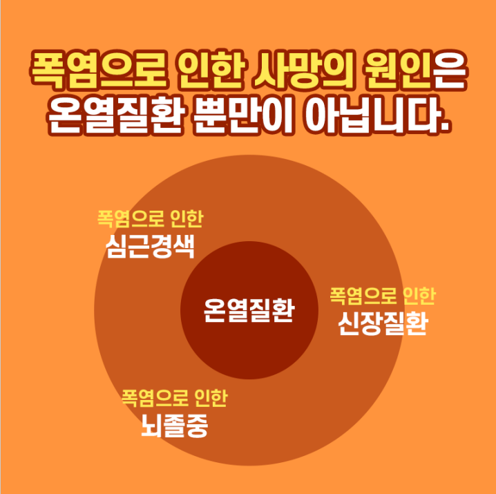 폭염으로 인한 사망의 원인은 온열질환 뿐만이 아닙니다. 온열질환에는 폭염으로 인한 심근경색, 폭염으로 인한 신장질환, 폭염으로 인한 뇌졸중