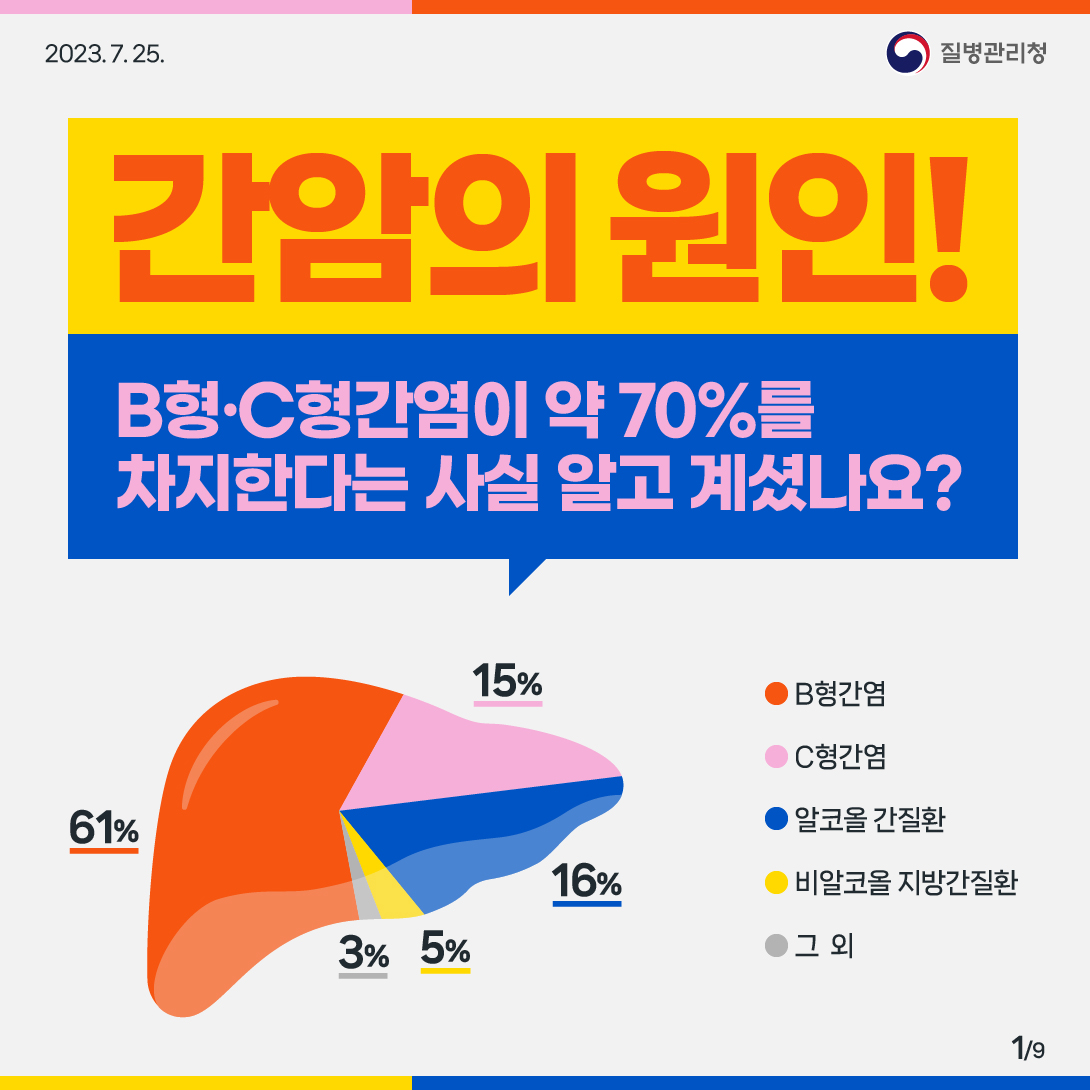 간암의 원인! B형 C형간염이 약 70%를 차지한다는 사실 알고 계셨나요? (B형간염 61% C형간염 15% 알코올 간질환 16% 비알코올 지방간질환 5% 그 외 3%)