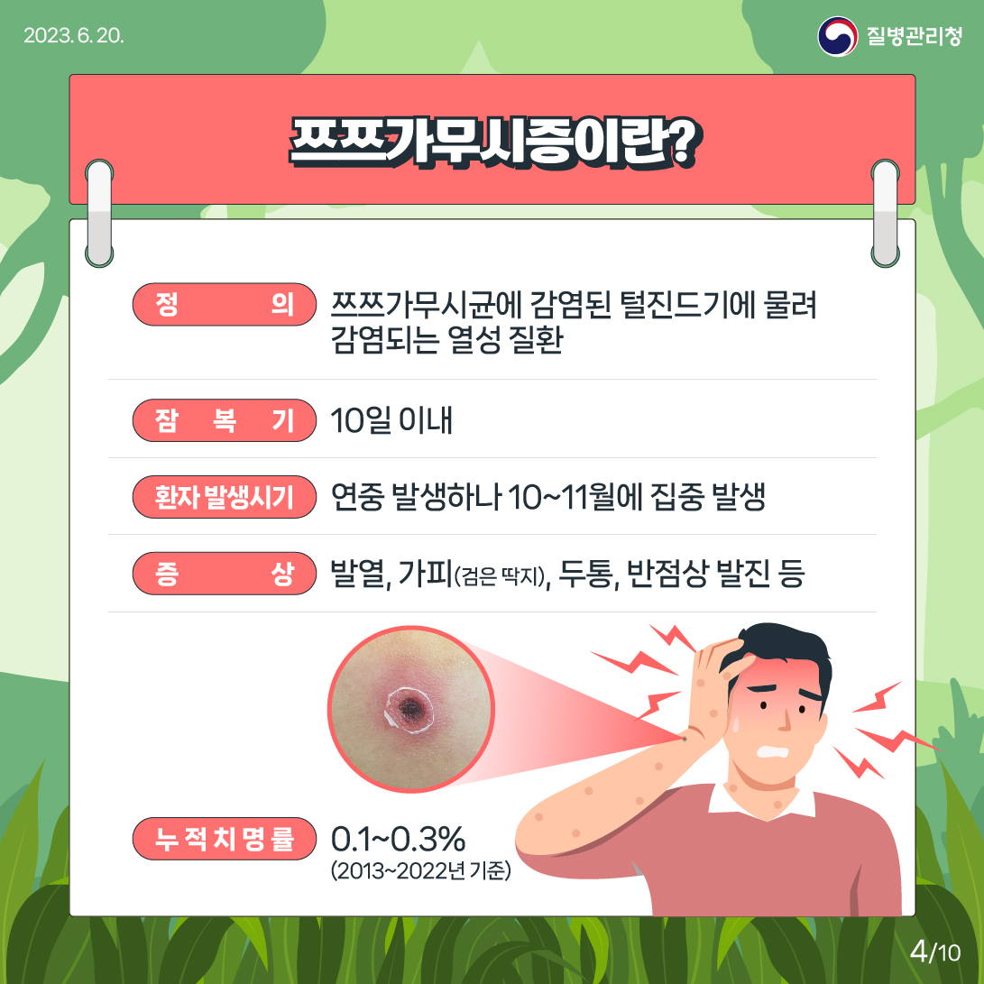 쯔쯔가무시증이란? 정의(쯔쯔가무시균에 감염된 털진드기에 물려 감염되는 열성 질환) 잠복기(10일 이내) 환자 발생기시(연중 발생하나 10~11월에 집중 발생) 증상 발열, 가피(검은 딱지), 두통, 반점상 발진 등) 누적 치명률(0.1~0.3% 2013~2022년 기준)