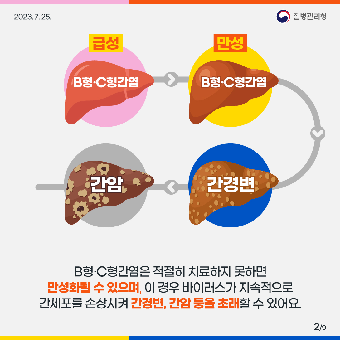 급성(B형 C형 간염) - 만성(B형 C형 간염) - 간경변 - 간암 (B형 C형 간염은 적절히 치료하지 못하면 만성화될 수 있으며, 이 경우 바이러스가 지속적으로 간세포를 손상시켜 간경변, 간암 등을 초래할 수 있어요.)