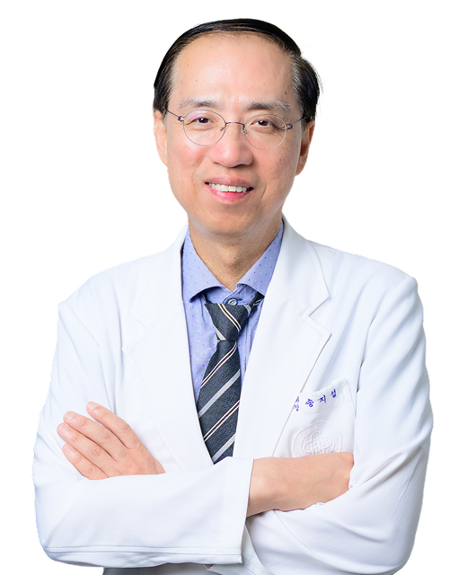 송지섭